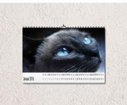 Fotokalender 2017 DIN A4 quer, Kalendarium 1