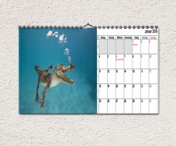 Fotokalender 2017 DIN A4 quer, Kalendarium 2